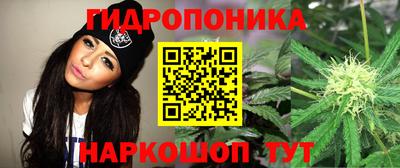 ECSTASY Краснознаменск