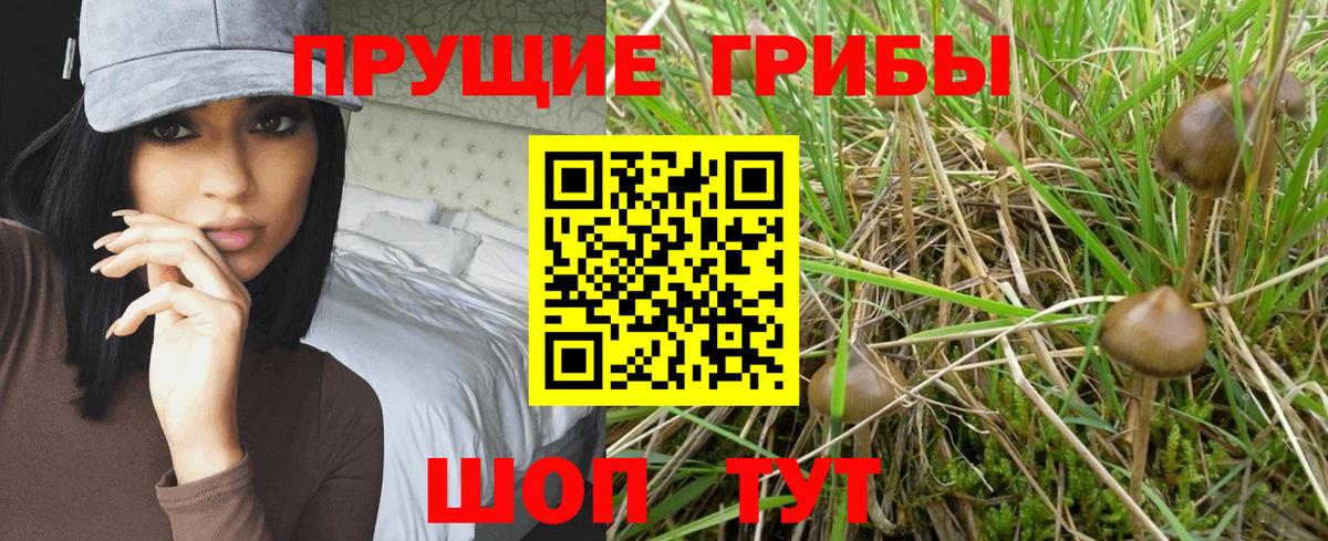Псилоцибиновые грибы мухоморы  Псилоцибиновые грибы Magic Shrooms  Вход с VPN  Воркута 